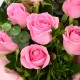 Baby pink combination