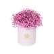 Pink baby's breath