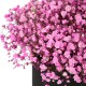 Pink baby's breath