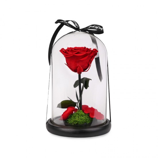 Forever Roses| Αιωνια Τριαντάφυλλα Κόκκινο 
