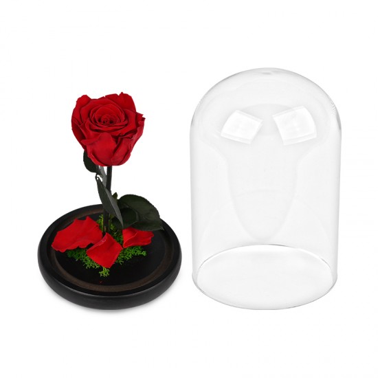 Forever Roses| Αιωνια Τριαντάφυλλα Κόκκινο 