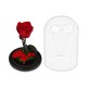 Forever Roses| Αιωνια Τριαντάφυλλα Κόκκινο 