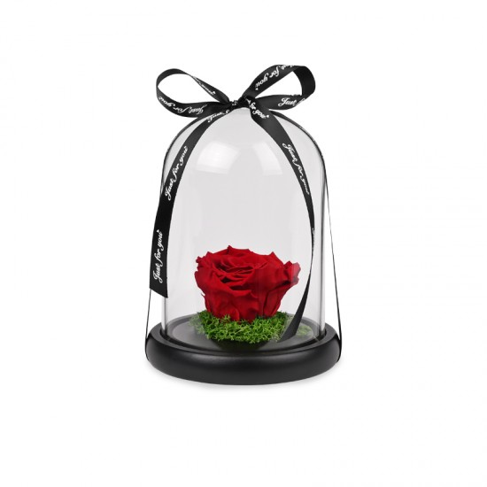 Forever Roses| Αιωνια Τριαντάφυλλα Κόκκινο 