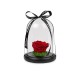 Forever Roses| Αιωνια Τριαντάφυλλα Κόκκινο 
