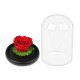 Forever Roses| Αιωνια Τριαντάφυλλα Κόκκινο 