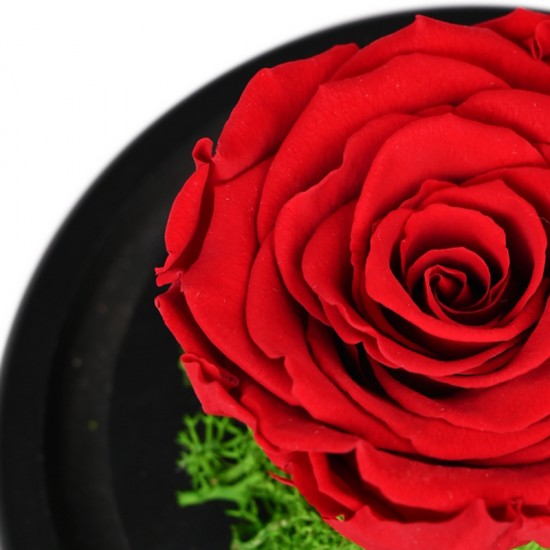 Forever Roses| Αιωνια Τριαντάφυλλα Κόκκινο 