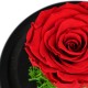 Forever Roses| Αιωνια Τριαντάφυλλα Κόκκινο 