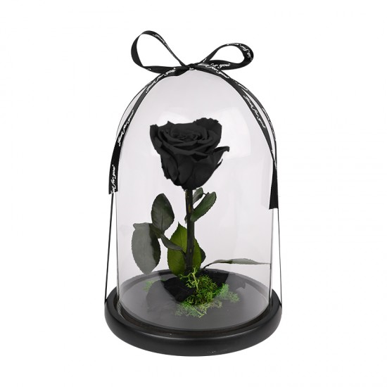 "The big one forever Roses"| Αιωνια Τριαντάφυλλα 