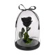 "The big one forever Roses"| Αιωνια Τριαντάφυλλα 