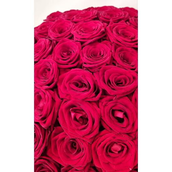 Exclusive Ruby